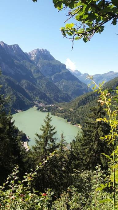 Appartamento Mountain Alleghe Esterno foto