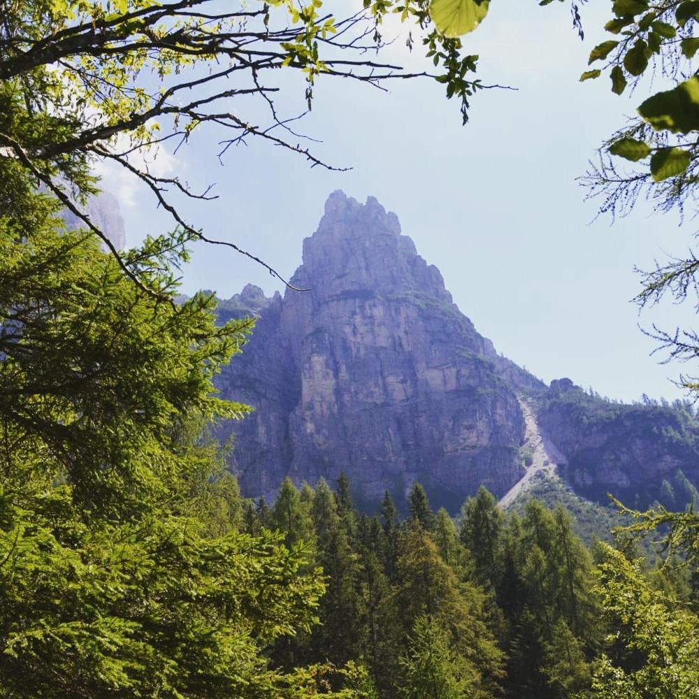 Appartamento Mountain Alleghe Camera foto