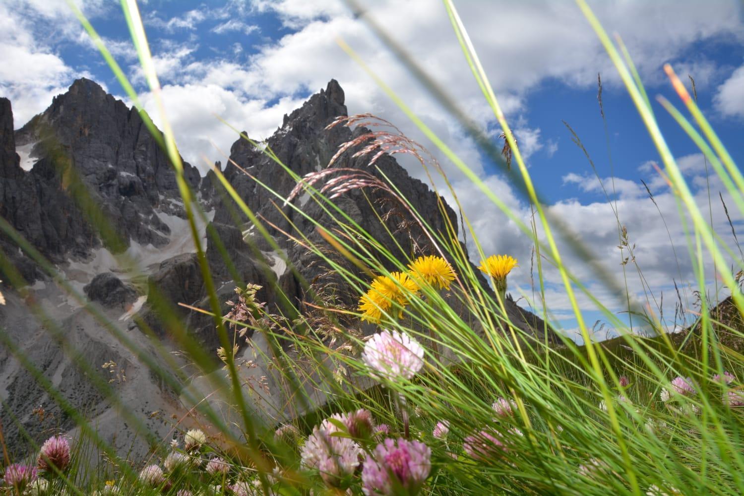 Appartamento Mountain Alleghe Camera foto
