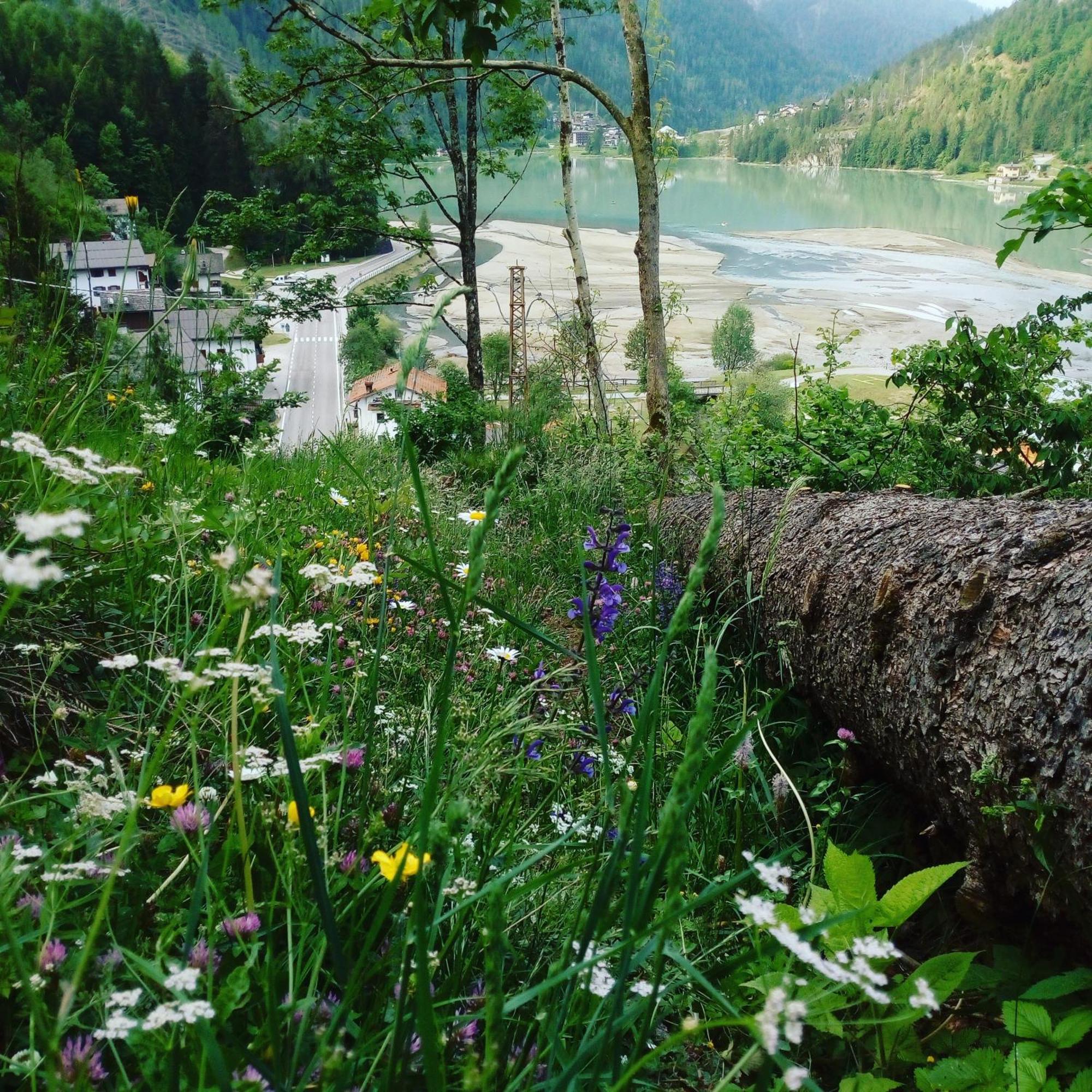 Appartamento Mountain Alleghe Camera foto